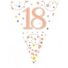 Age 18 Prismatic Foil Bunting Age 18 Prismatic Foil Bunting