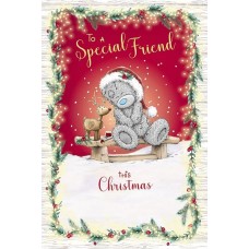 Special Friend