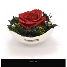 SINGLE PREMIUM ROSE IN A ROUND GLOSSY POT