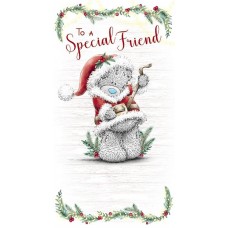 Special Friend